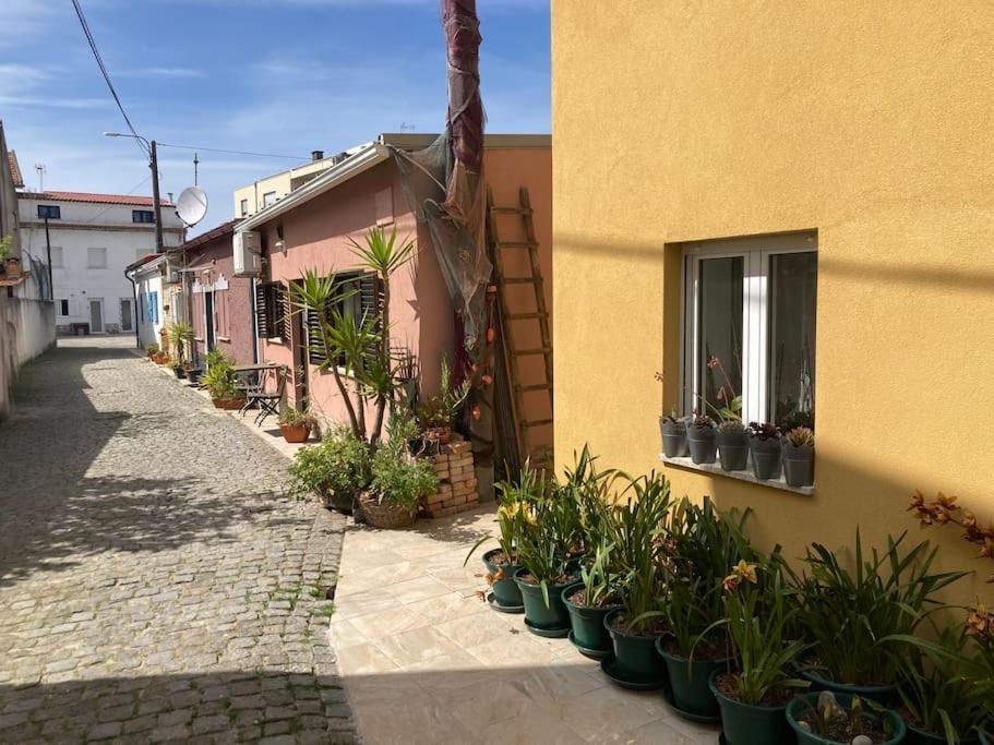Willa Casa Nova Apúlia Zewnętrze zdjęcie